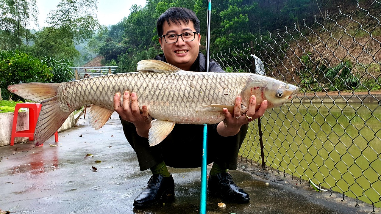 Mồi Câu Cá Lăng Hồ Dịch Vụ