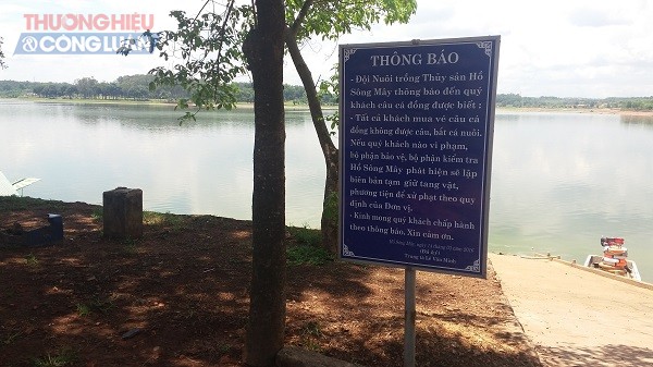 Câu Cá Hồ Sông Mây