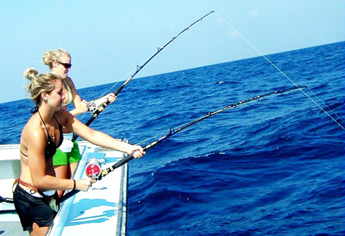 Câu Cá Biển Đông