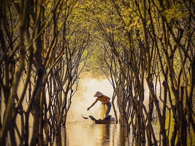 Câu Cá Hồ Quan Sơn