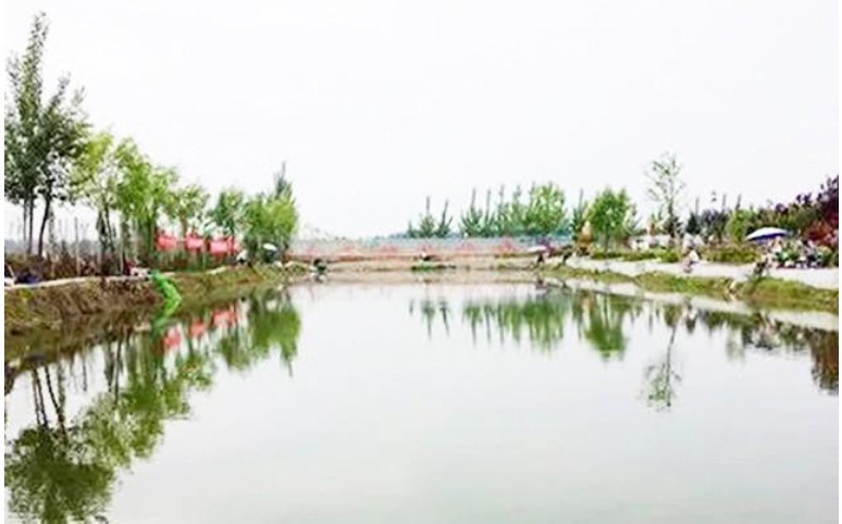 Cách Câu Cá Hồ Dịch Vụ