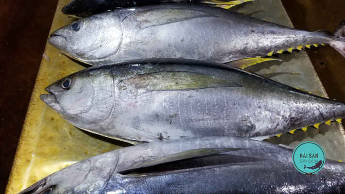 Cá Ngừ Bao Nhiêu 1kg