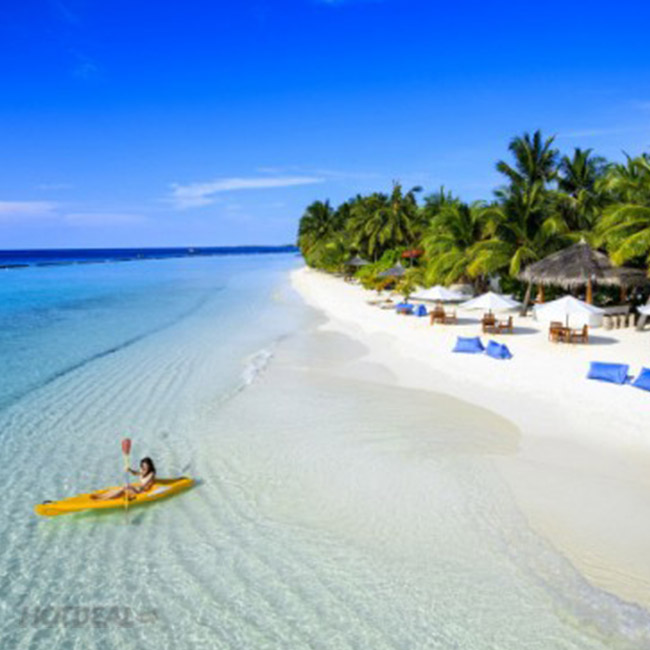 Câu Cá Trên Biển