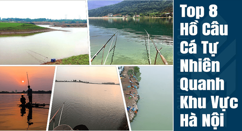 Câu Cá Hồ Hàm Lợn