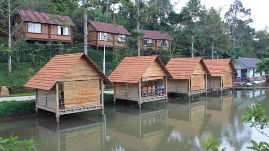 Thiết Kế Hồ Câu Cá Giải Trí