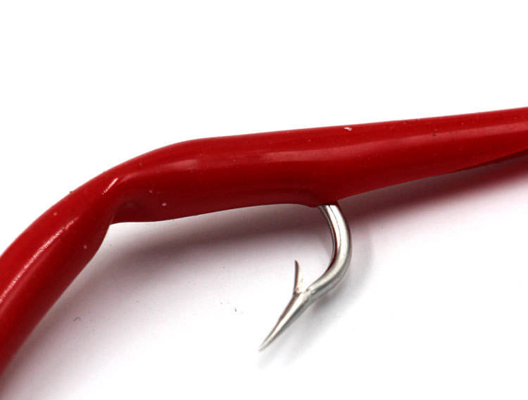 Câu Cá Chình Biển