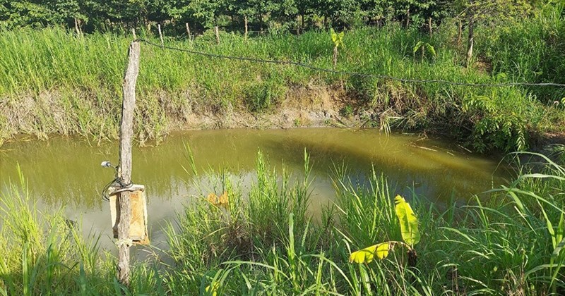 Câu Cá Hồ Nước Sâu