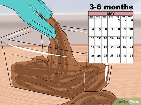 Cách Nuôi Giun Đất Câu Cá