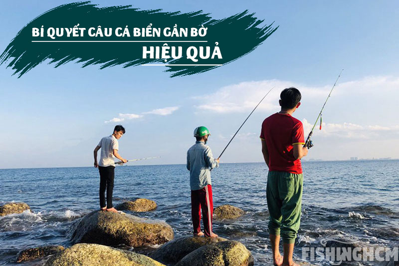 Câu Cá Biển Dùng Mồi Gì