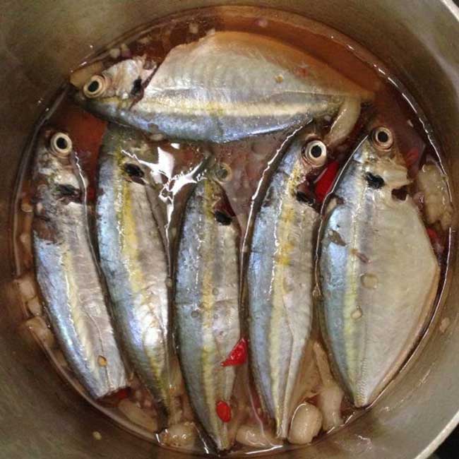 Cá Chỉ Vàng Tươi