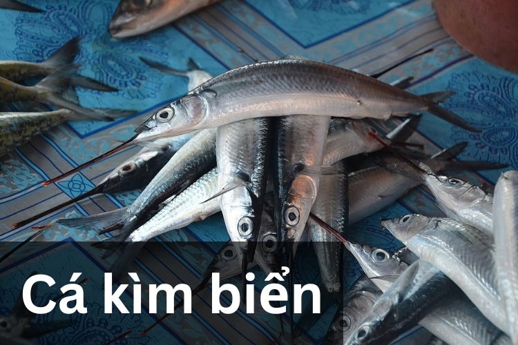 Cách Chế Biến Cá Kìm