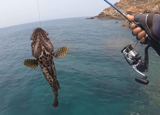 Mồi Giả Câu Cá Biển