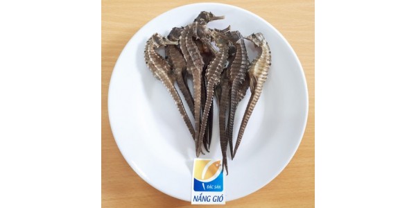 Cách Ngâm Rượu Cá Ngựa