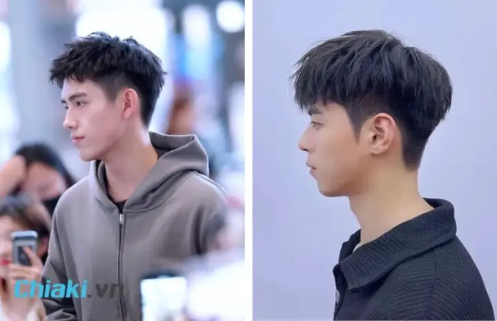 Đặc Điểm Của Cá Sấu