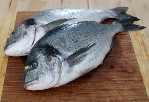 Cách Câu Cá Tráp