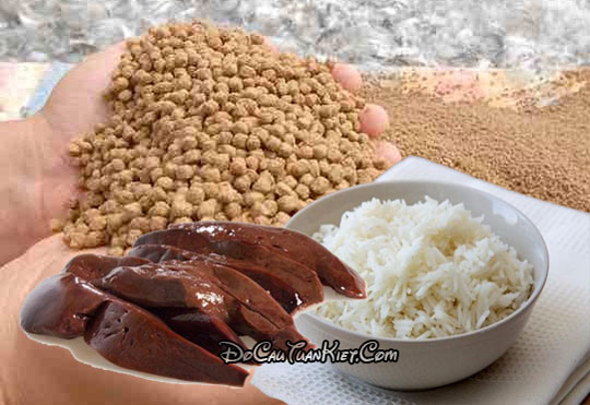 Mồi Câu Cá Lăng Sông