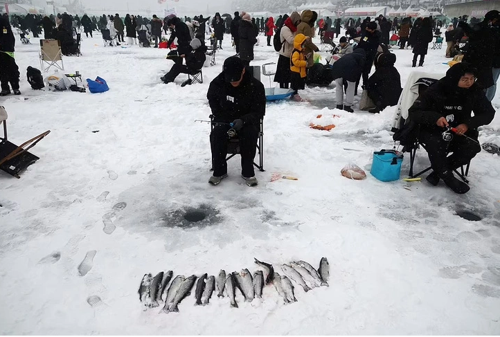 Câu Cá Trên Sông