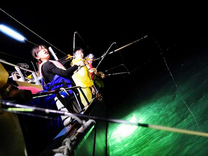 Câu Cá Biển Ban Đêm