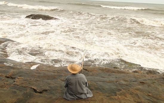 Mồi Câu Cá Biển Gần Bờ