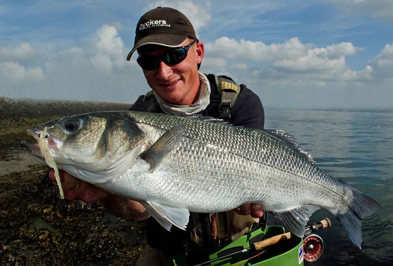 Cách Câu Cá Chẽm