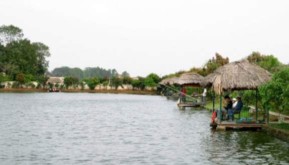 Cho Thuê Hồ Câu Cá Giải Trí Hà Nội