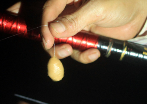 Cách Câu Cá Biển Gần Bờ