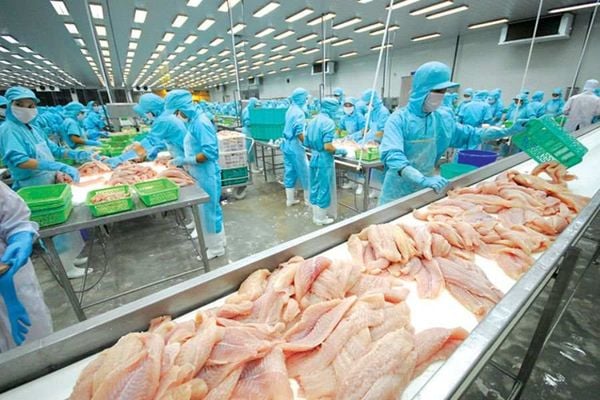 Da Cá Trứng Muối