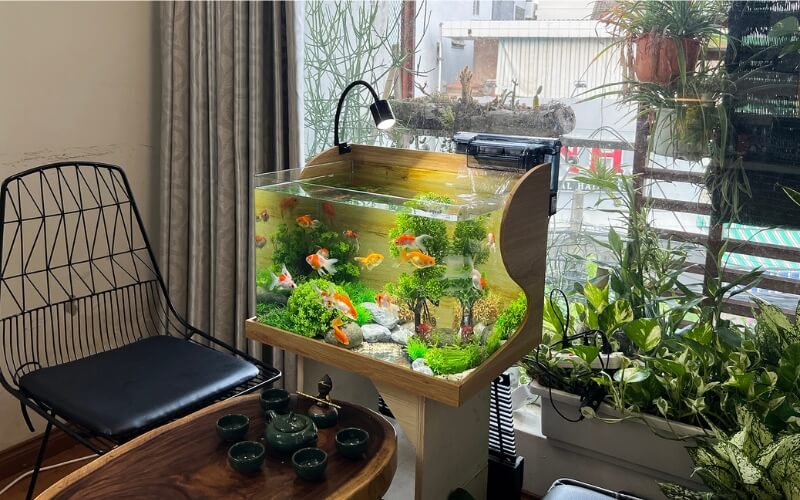 Bể Cá Đẹp Phòng Khách