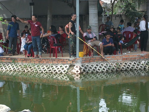 Diện Tích Hồ Câu Cá Giải Trí