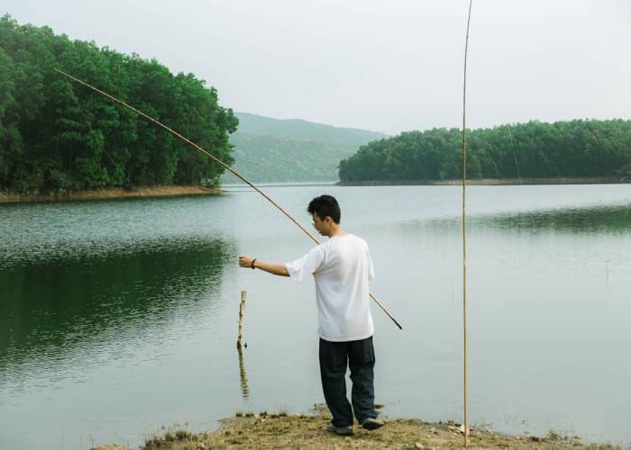 Câu Cá Đêm Ở Đà Nẵng