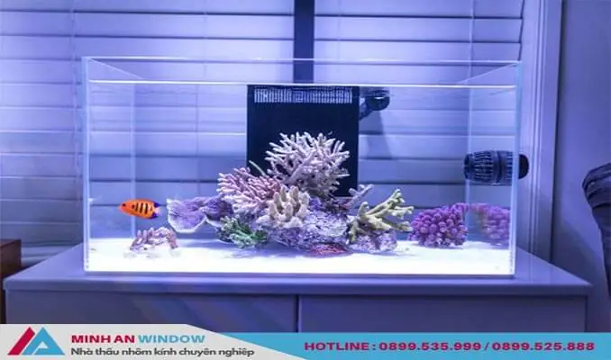 Giá Kính Làm Bể Cá