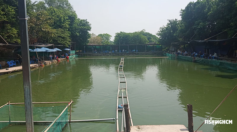 Hồ Câu Cá Chép Quận 12