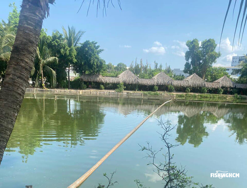 Hồ Câu Cá Tra Quận 12