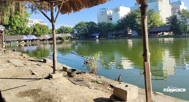 Hồ Câu Cá Chép Quận 12