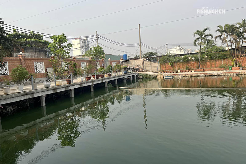 Hồ Câu Cá Giải Trí Giá Rẻ Ở Tphcm