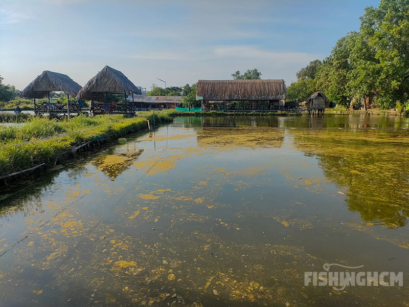 Hồ Câu Cá Út Lệ