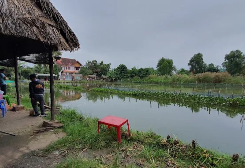 Hồ Câu Cá Ao Sen Quận 2