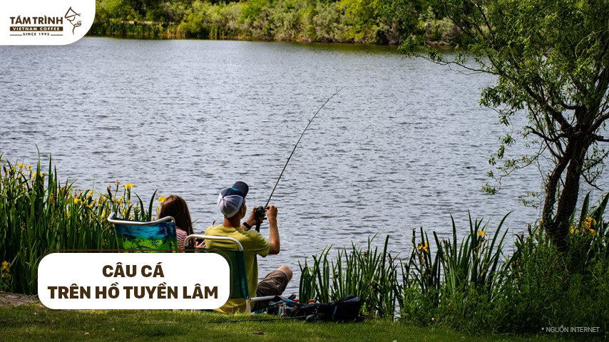 Câu Cá Hồ Tuyền Lâm