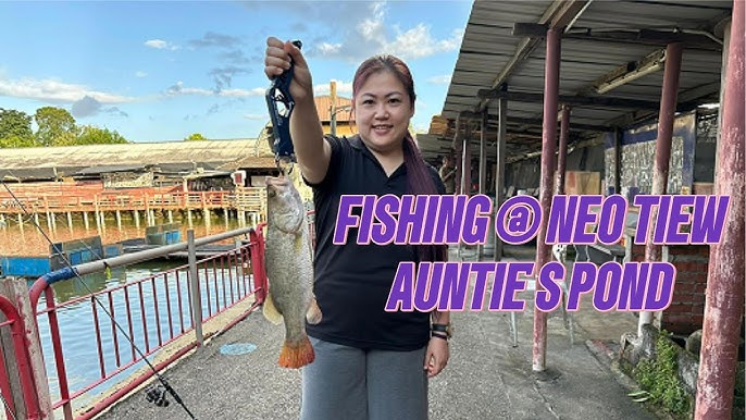 Cách Mở Hồ Câu Cá