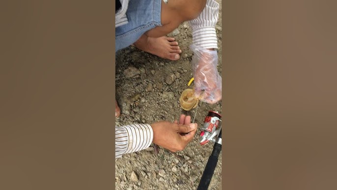 Cách Ủ Ruột Gà Câu Cá