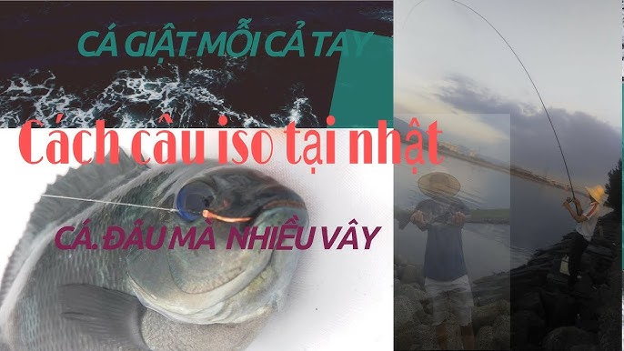 Cách Câu Cá Biển Gần Bờ