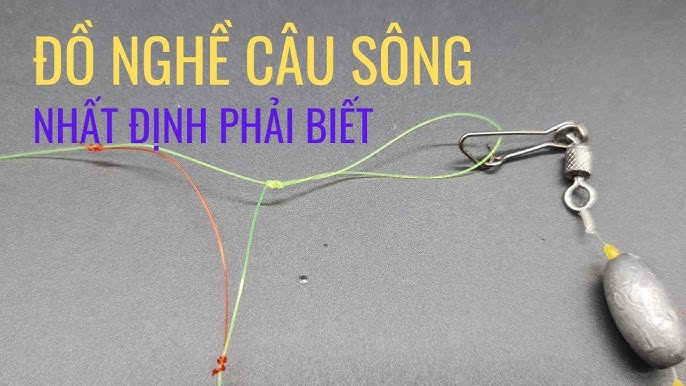 Cách Câu Cá Ngạnh