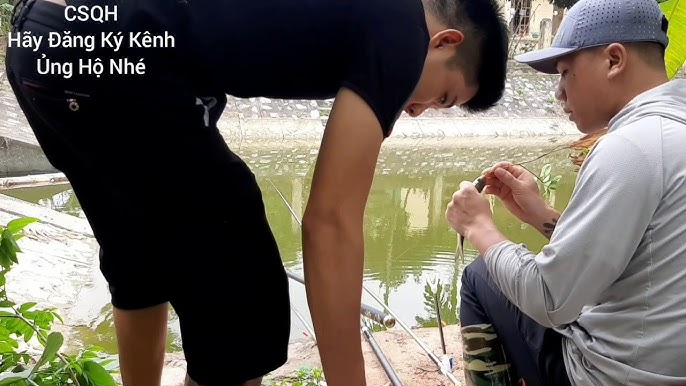 Cách Câu Cá Rói Sông