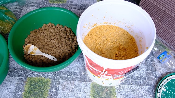 Cách Làm Mồi Câu Các Loại Cá