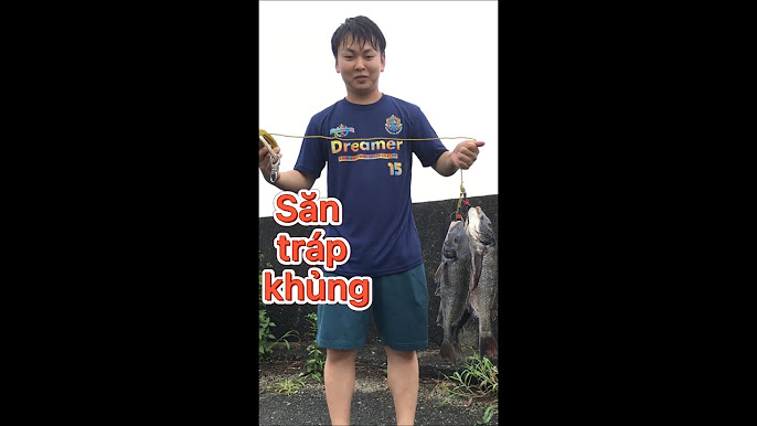Cách Câu Cá Tráp