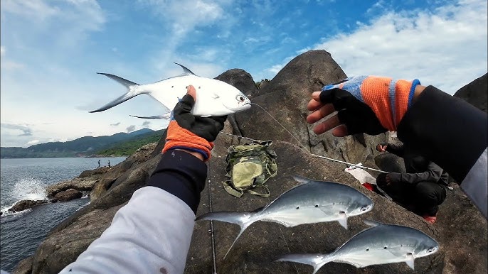 Câu Cá Biển Đà Nẵng