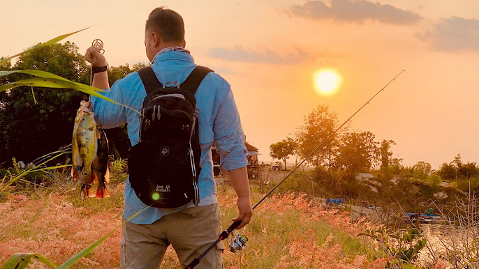 Câu Cá Hồ Trị An