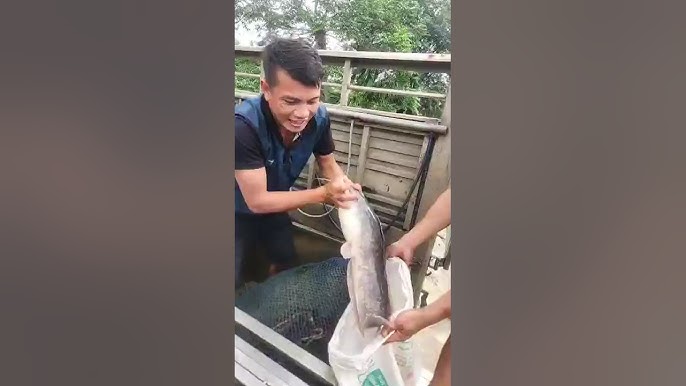 Hồ Câu Cá Bình Dương