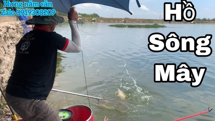 Câu Cá Hồ Sông Mây