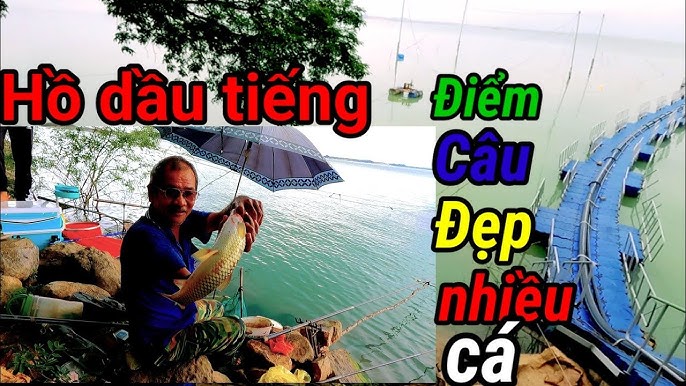 Câu Cá Hồ Dầu Tiếng